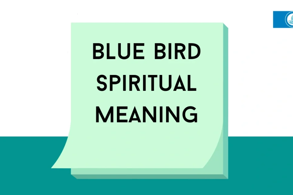 Blue Bird Spiritual Meaning