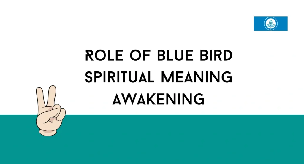 Role of Blue Bird Spiritual Meaning Awakening