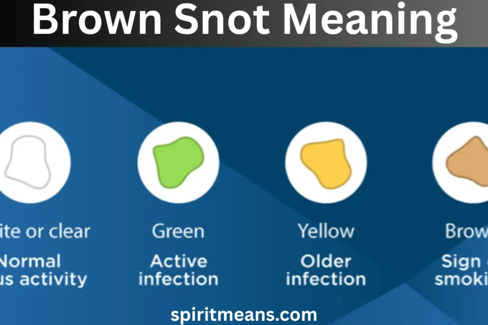 Brown Snot Meaning