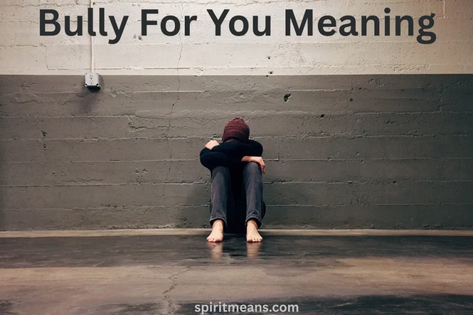 Bully For You Meaning
