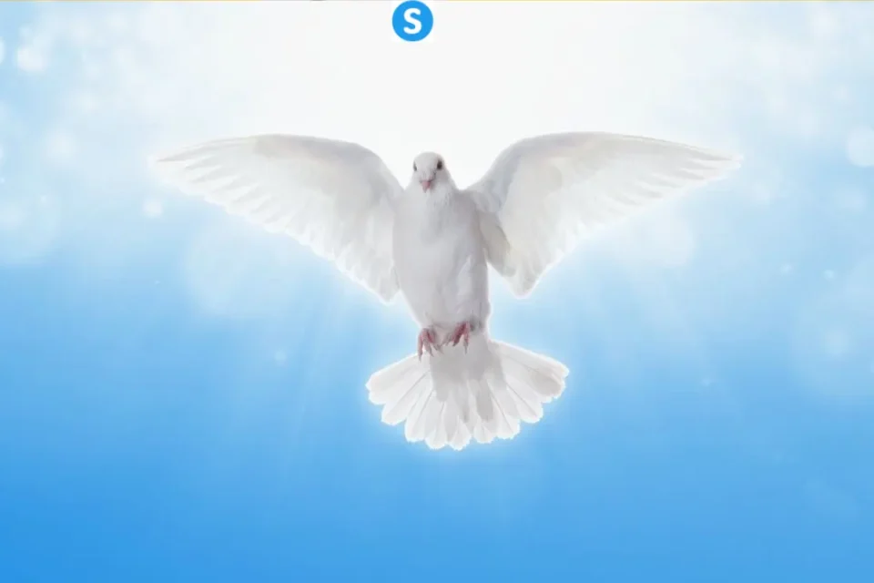 Holy Spirit Dove
