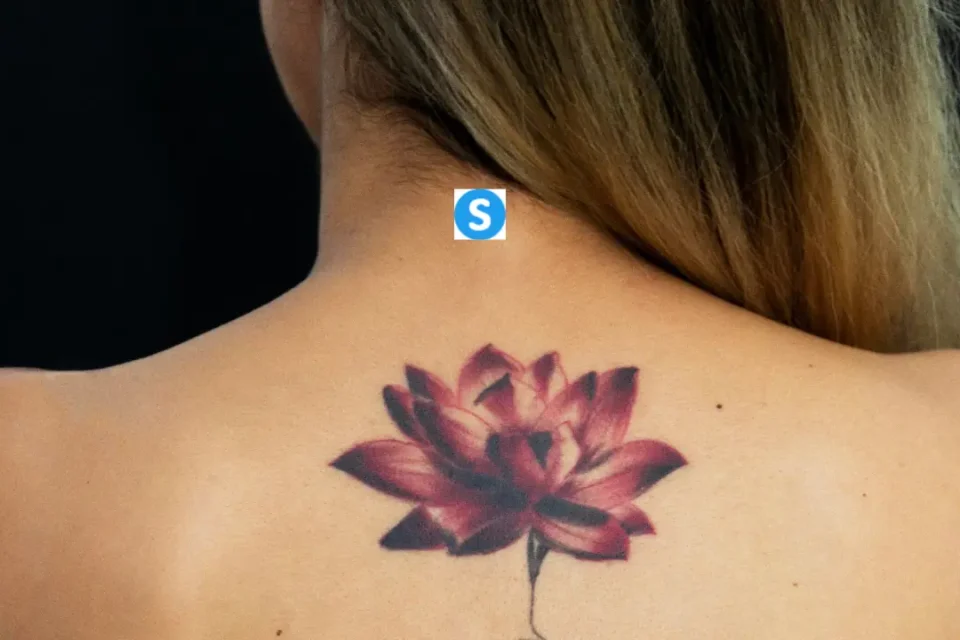 Lotus Flower Tattoo Meaning