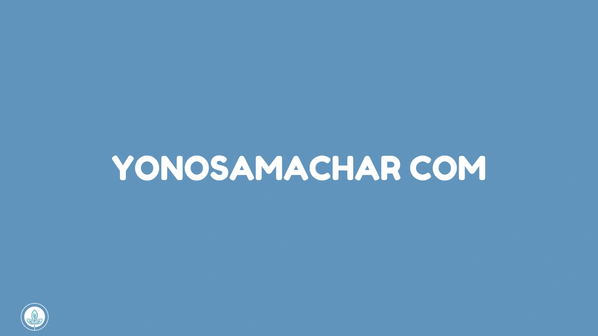 yonosamachar com