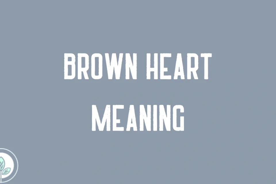 Brown Heart Meaning