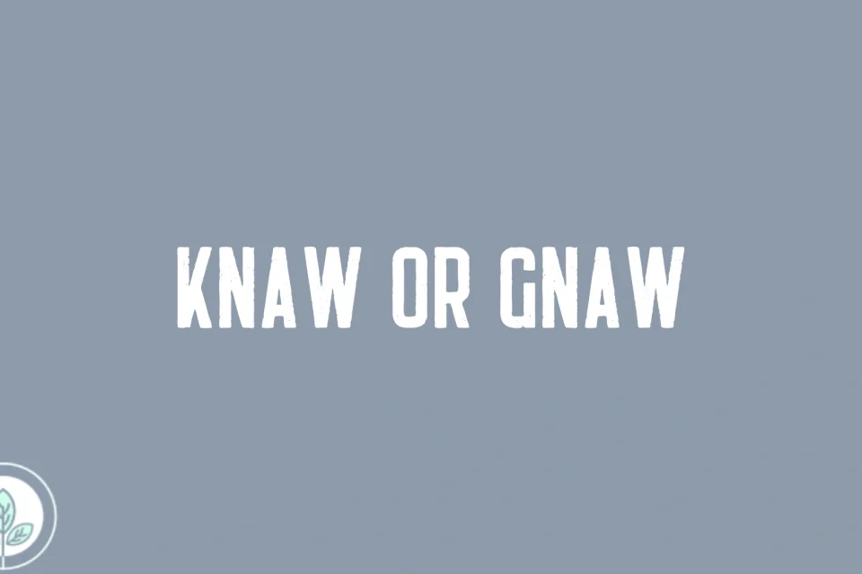 Knaw or Gnaw