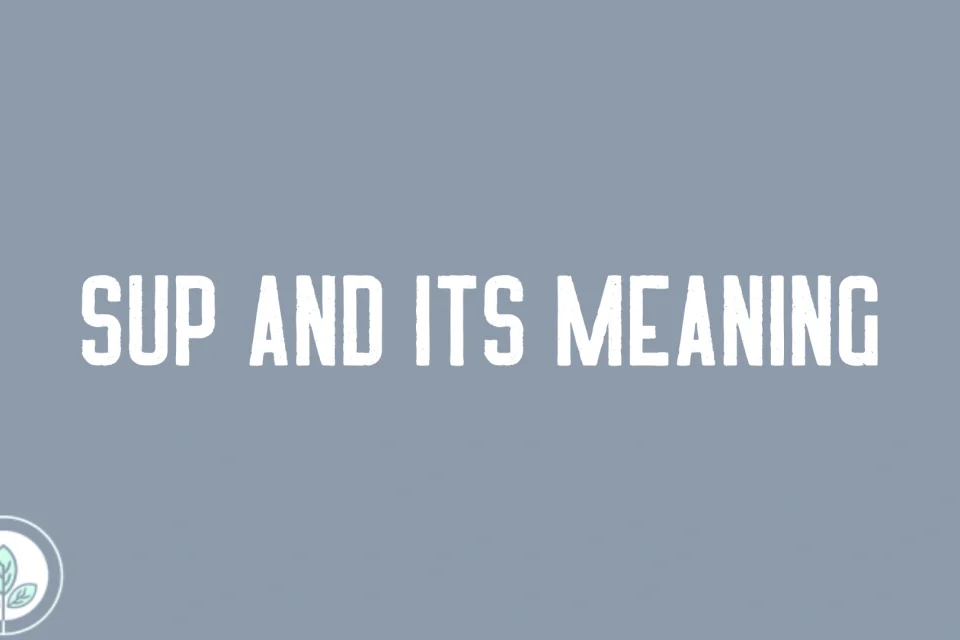 SUP and Its Meaning