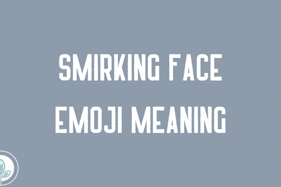 Smirking Face Emoji Meaning