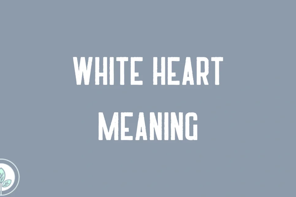 White Heart Meaning
