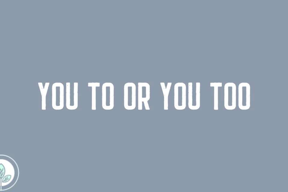 You To or You Too